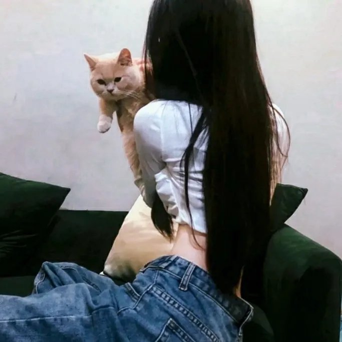 护花忙